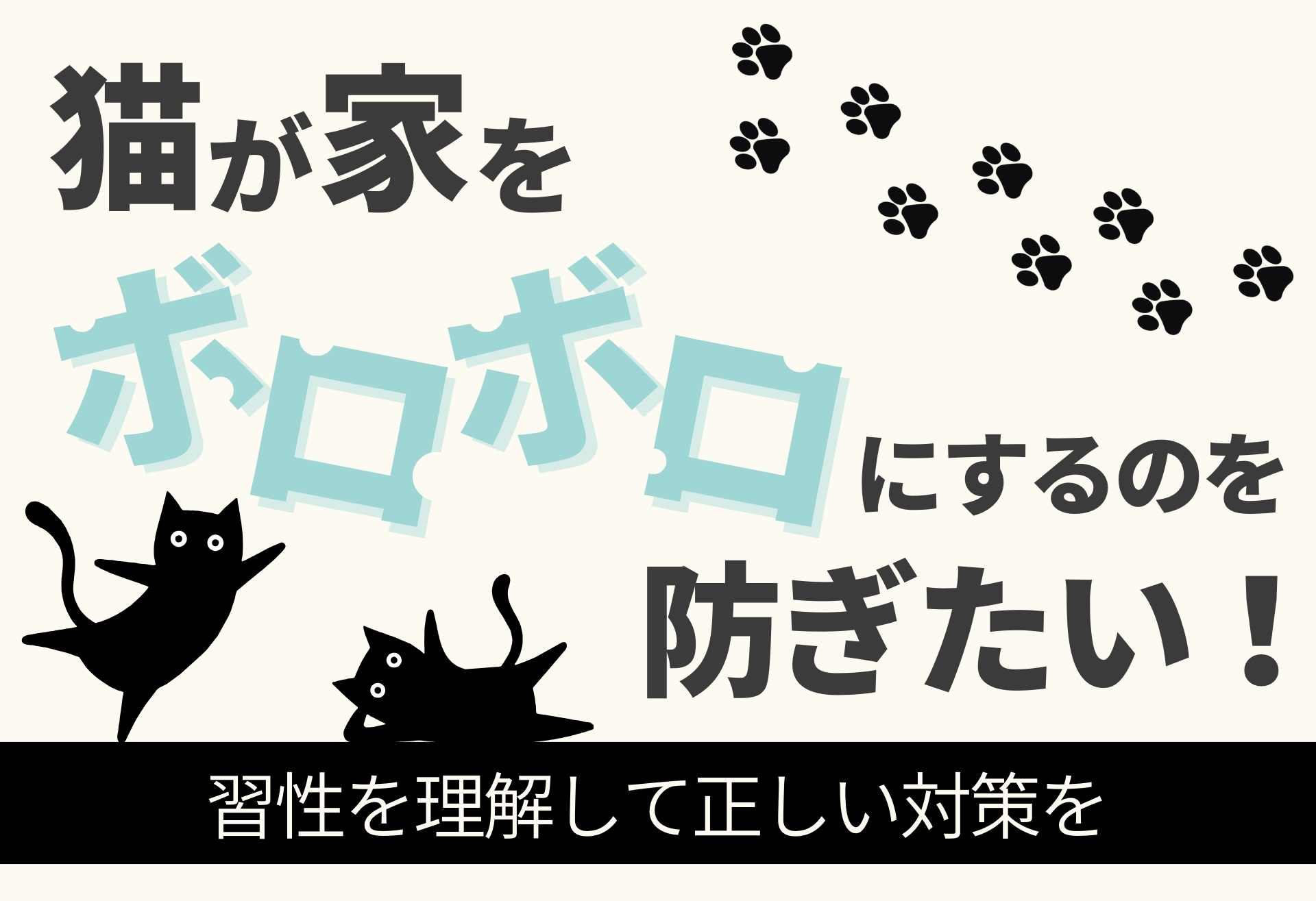 猫が家をボロボロにするのを防ぎたい！習性を理解して正しい対策を