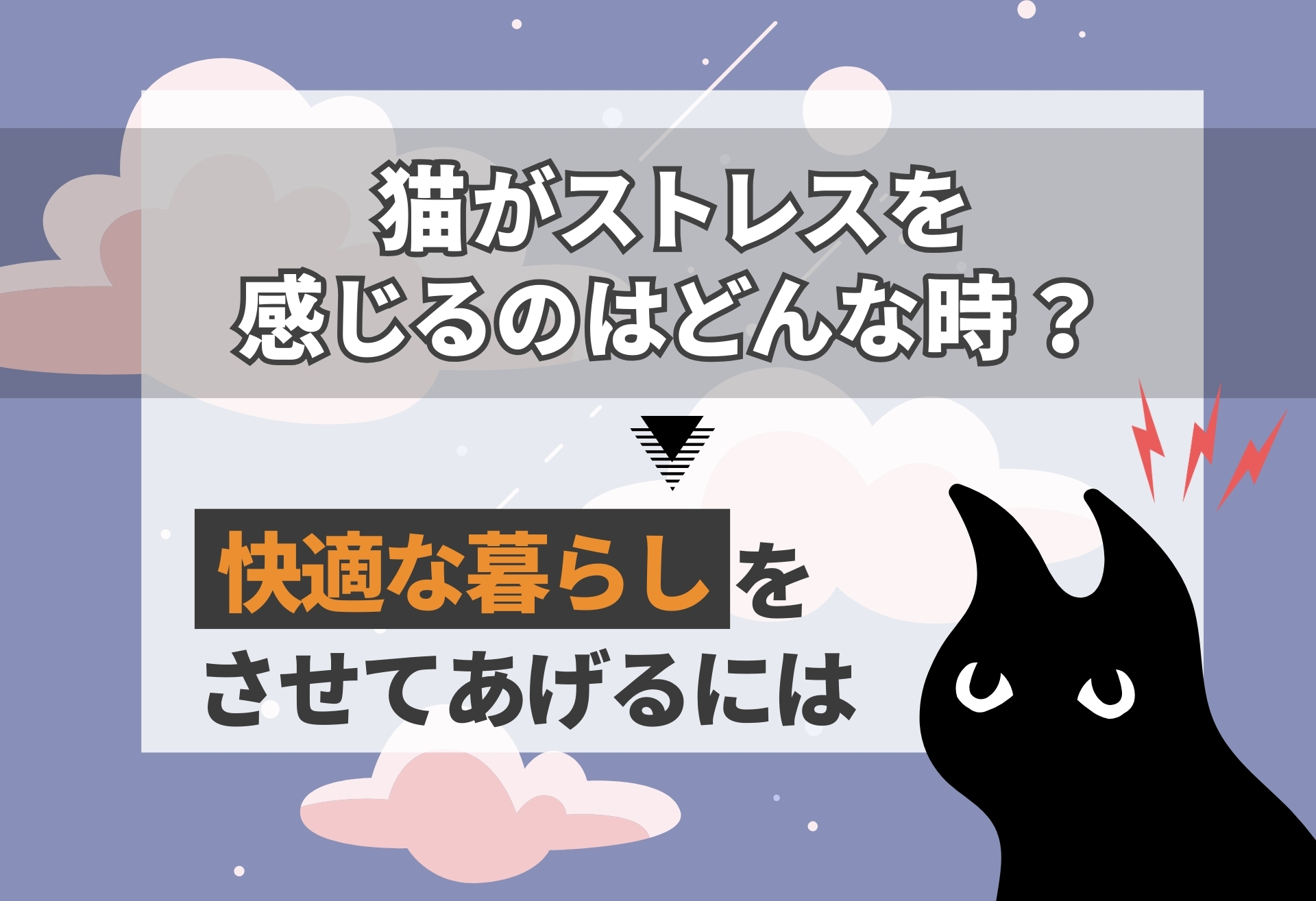 猫がストレスを感じるのはどんな時？快適な暮らしをさせてあげるには