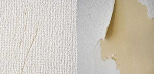 猫 リノベーション 壁