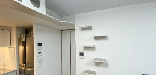 猫 リノベーション キャットウォーク