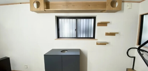 猫 リノベーション キャットウォーク