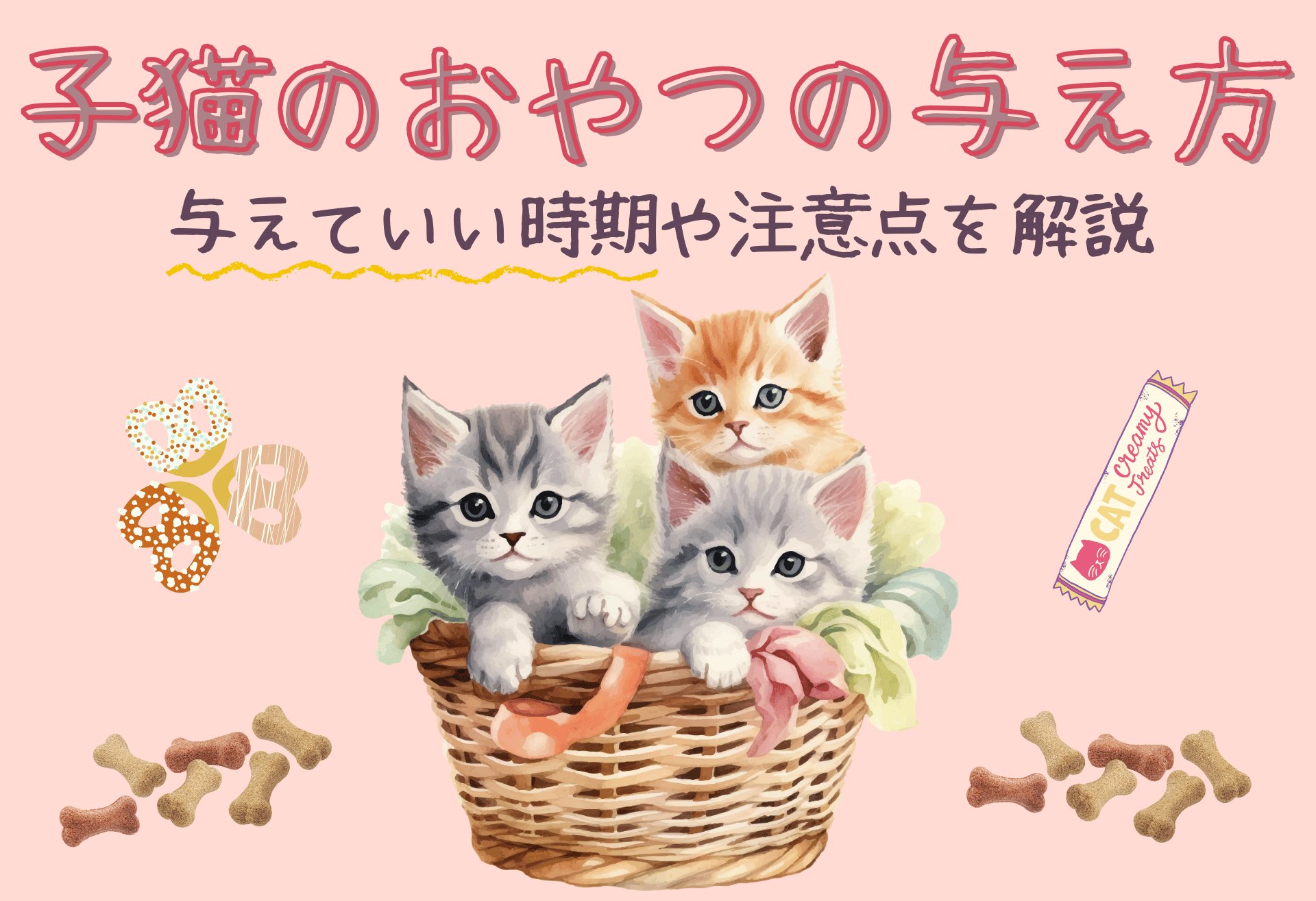 子猫のおやつの与え方|与えていい時期や注意点を解説