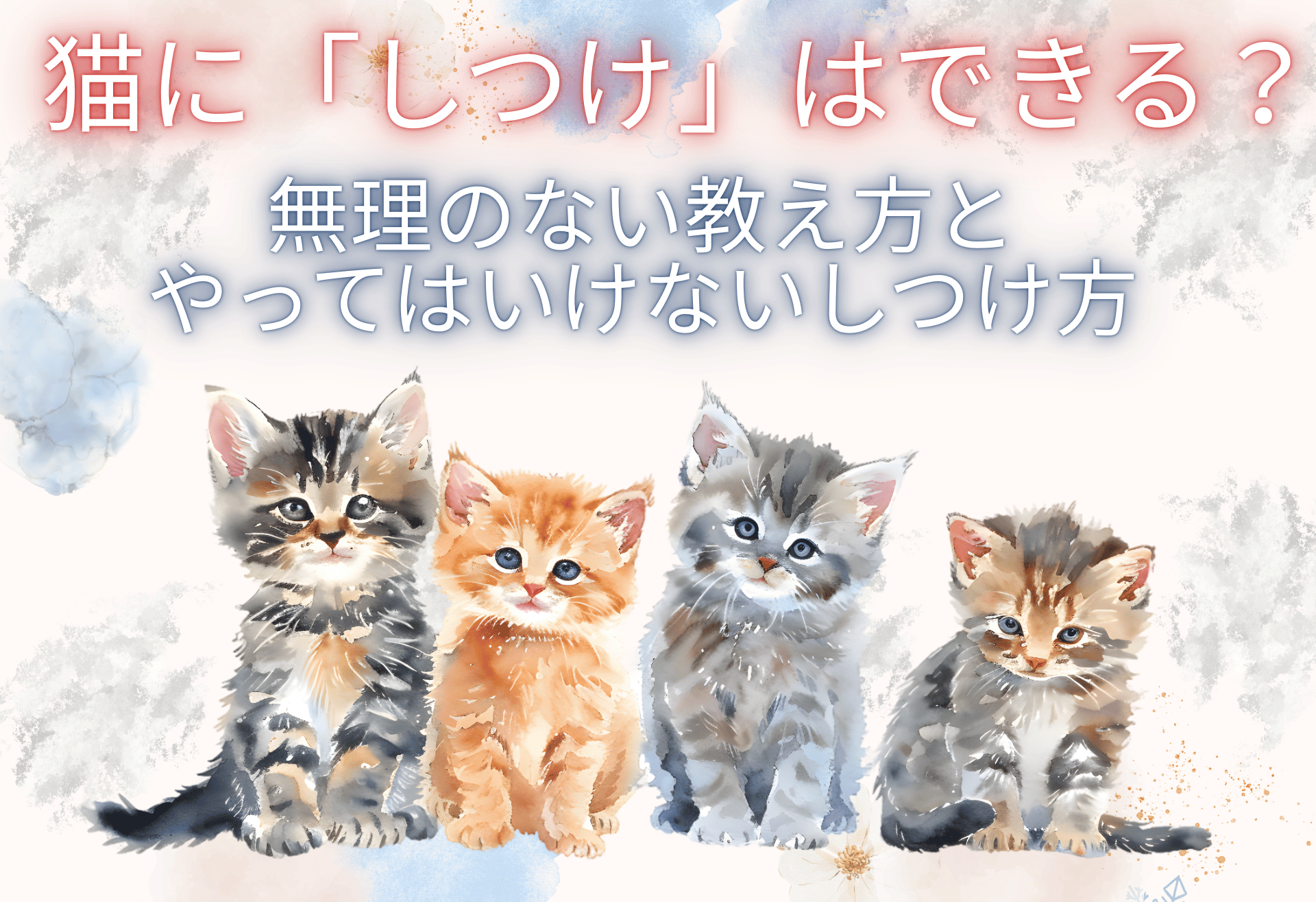 猫にしつけはできる？